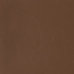 Remington Bridle
