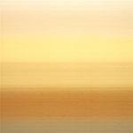 RX 8001 Privacy Curtain Fabric