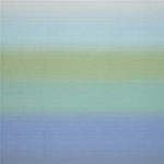 RX 8001 Privacy Curtain Fabric
