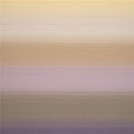 RX 8001 Privacy Curtain Fabric