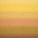 RX 8001 Privacy Curtain Fabric