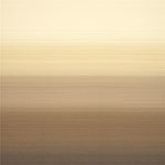 RX 8001 Privacy Curtain Fabric