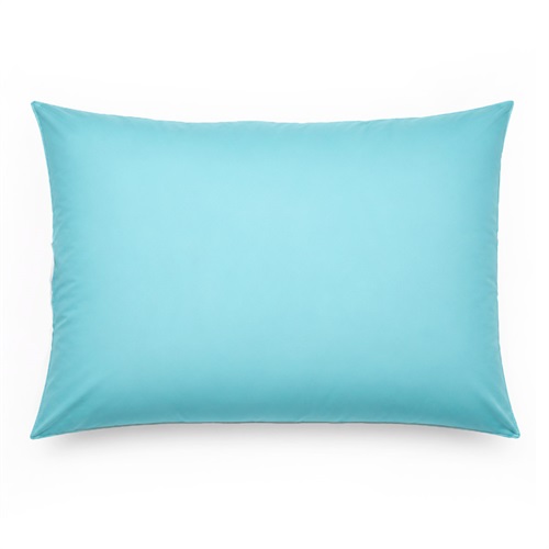 Phoenix Nightcloud Pillow