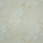 Aquarius Gingseng
