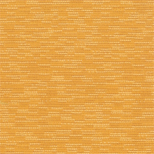 Bainbridge Sunflower