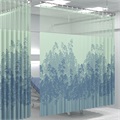 Acer Clearing