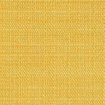 Tweed Dandelion