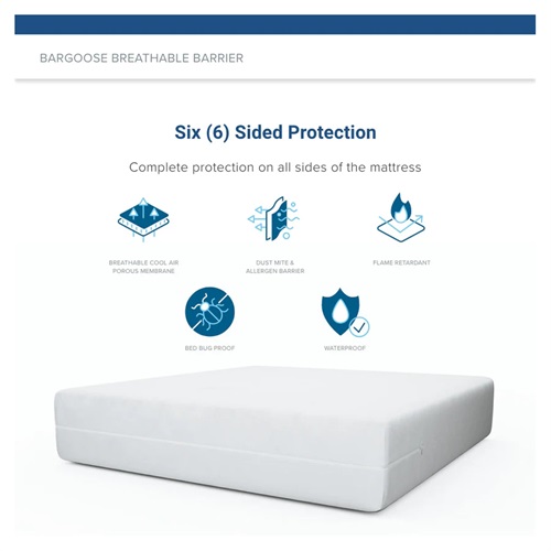 Pillow encasements bed bugs clearance