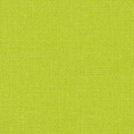 Vibe Lime