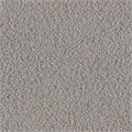 Ritzi Supreen Fluid Barrier Upholstery Fabric